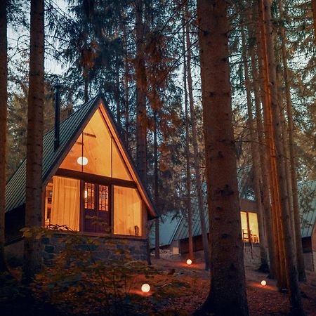 Hotel Kouty - Lesni Apartmany Ledeč nad Sázavou Kültér fotó